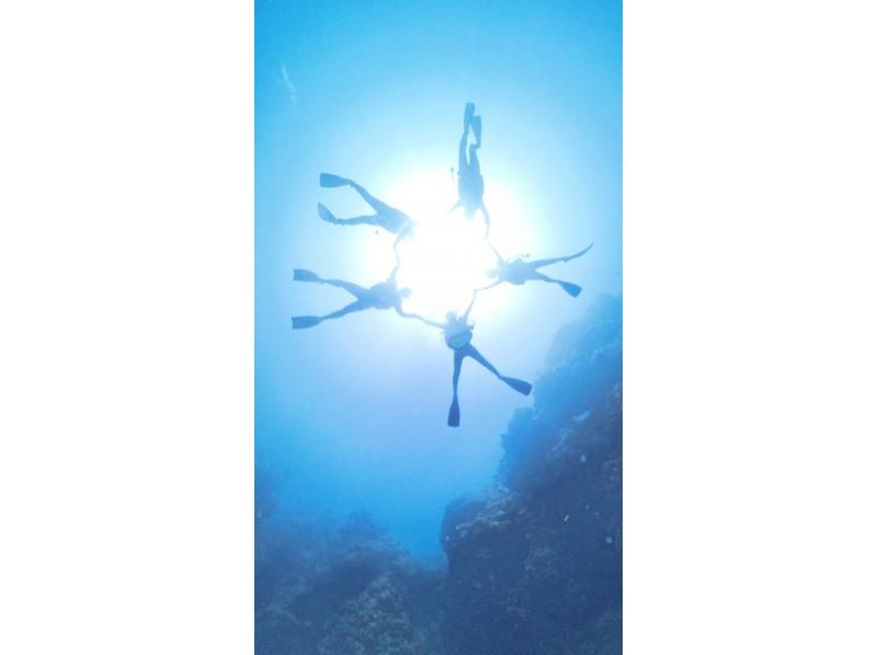 【貸切】石垣島 オールインクルーシブシュノーケリングボートチャーター《1日プラン》の紹介画像