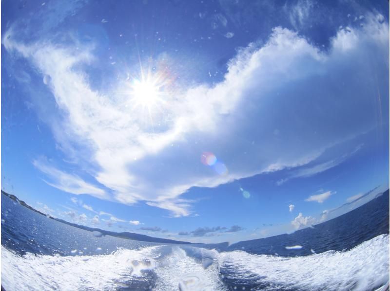 Winter special discount plan! [Okinawa, Ishigaki Island] Feel free to try diving for the first time! 1-day trial course! Limited number of participants! First come, first served! Copyの紹介画像