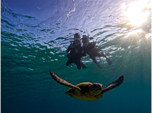 【宮古島/1.5時間】OPEN記念!超特セール中★遭遇率99%ウミガメシュノーケリング★当日予約OK!雨の日OK!写真データ無制限プレゼント 【宮古島/1.5時間】OPEN記念!超特セール中★遭遇率99%ウミガメシュノーケリング★当日予約OK!雨の日OK!写真データ無制限プレゼント