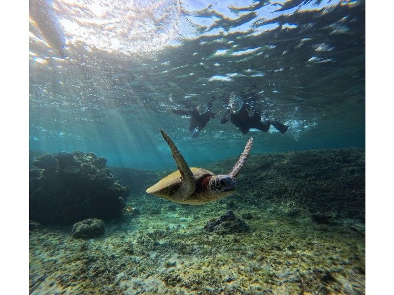 格安ツアー【ウミガメ遭遇率99％】1.5時間★当日予約OK★ウミガメシュノーケル GoPro写真データ無料プレゼントの紹介画像