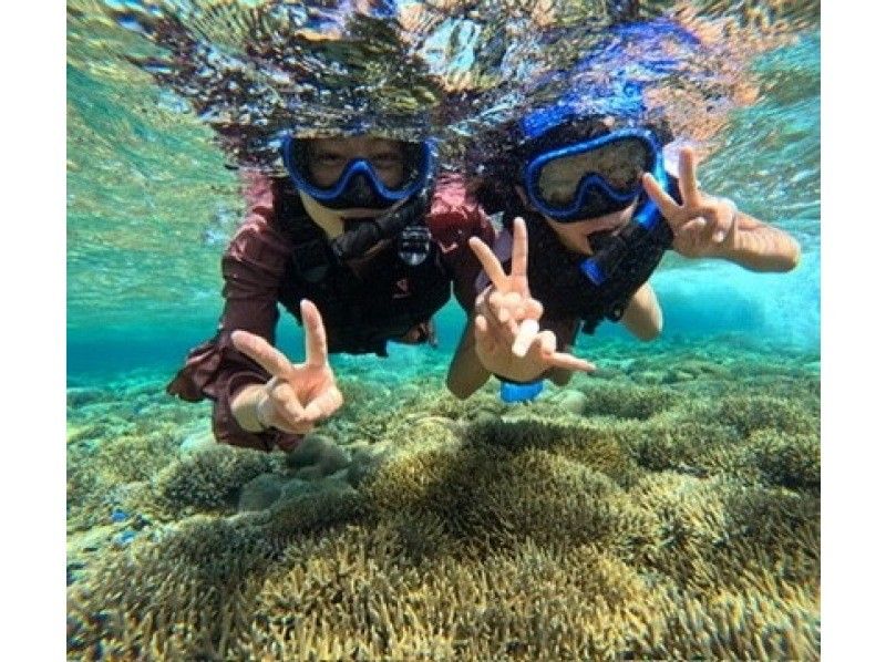 格安ツアー【ウミガメ遭遇率99％】1.5時間★当日予約OK★ウミガメシュノーケル GoPro写真データ無料プレゼントの紹介画像