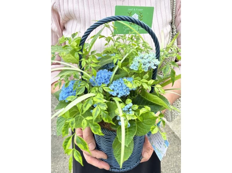 [Akita, Akita City] Gathering Planting Trial Lesson! Beginners, women, friends, couples, parents and children welcome! aoki_siki Gathering Plantingの紹介画像