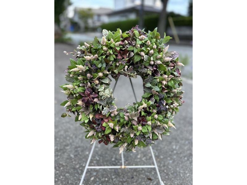 [Akita, Akita City] Gathering Plants Wreath Style! Beginners, women, friends, couples, parents and children welcome! aoki_siki Gathering Plantsの紹介画像