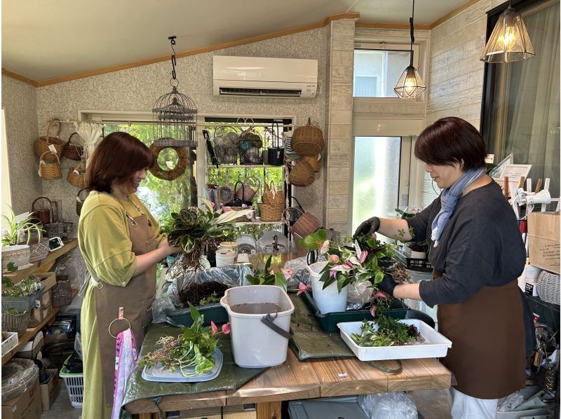 [Akita, Akita City] Gathering Plants Wreath Style! Beginners, women, friends, couples, parents and children welcome! aoki_siki Gathering Plantsの紹介画像