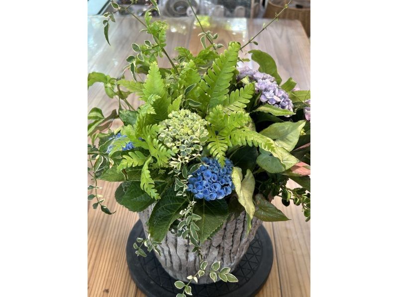 [Akita, Akita City] Gathering Plants Natural Style! Beginners, women, friends, couples, parents and children welcome! aoki_siki Gathering Plantsの紹介画像