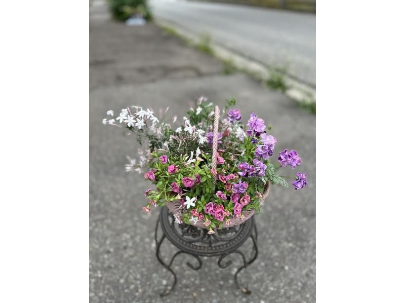 [Akita, Akita City] Gathering Plants Natural Style! Beginners, women, friends, couples, parents and children welcome! aoki_siki Gathering Plantsの紹介画像