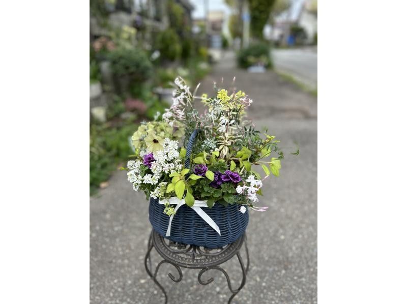 [Akita, Akita City] Gathering Plants Natural Style! Beginners, women, friends, couples, parents and children welcome! aoki_siki Gathering Plantsの紹介画像