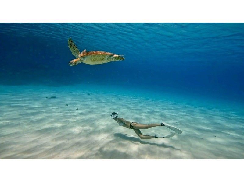 【沖縄・石垣島唯一無二】海亀と泳ぐ感動シュノーケル&times;バレルサウナ。海あがりに極上のととのいを味わう特別体験ツアー。の紹介画像