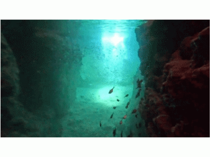[Okinawa, Onna Village] Visit the most popular "Blue Cave" in Okinawa! Private instructor available! Full support trial divingの紹介画像