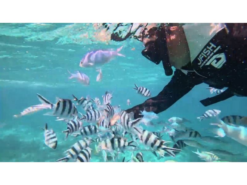 【沖縄・海中道路】100分　免許なしOK ：ジェットスキーで行く、無人島秘境ツアー！の紹介画像