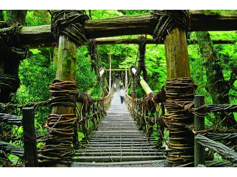 【香川/徳島】琴平発⇔祖谷渓谷・大歩危シャトルバスの紹介画像
