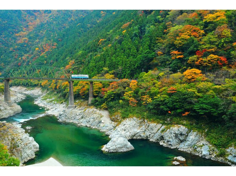 【香川/徳島】琴平発⇔祖谷渓谷・大歩危シャトルバスの紹介画像