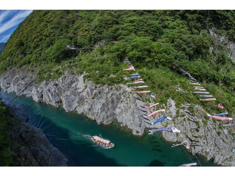 【香川/徳島】琴平発⇔祖谷渓谷・大歩危シャトルバスの紹介画像