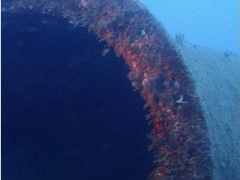 【沖縄本島・砂辺】空港・ホテル送迎付きのビーチダイビングで一日満喫！の紹介画像