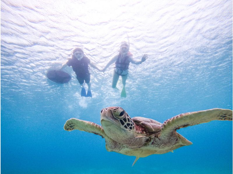 【宮古島】1組貸切★ウミガメと泳ぐシュノーケリングツアー！写真データ無料プレゼント！の紹介画像
