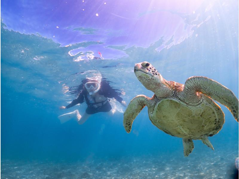 【宮古島】1組貸切★ウミガメと泳ぐシュノーケリングツアー！写真データ無料プレゼント！の紹介画像