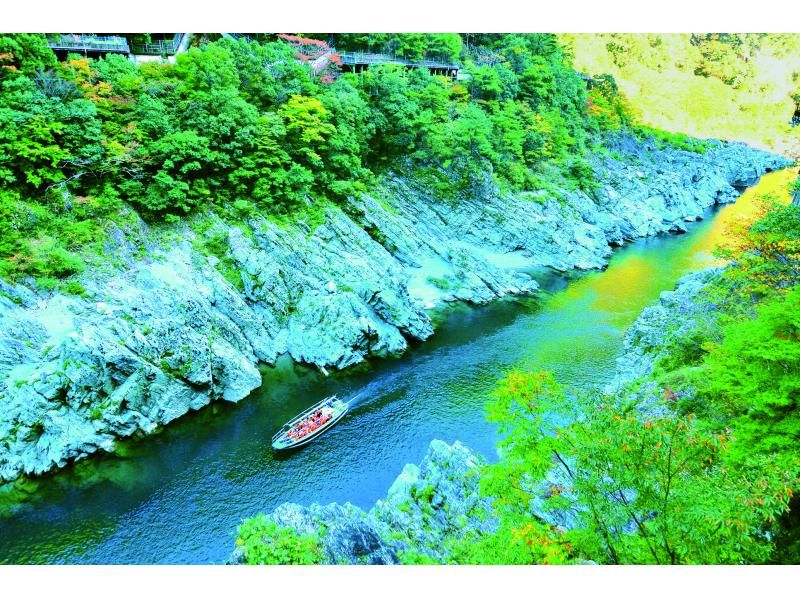 [香川/德岛]琴平⇔祖谷/大步危接驳巴士（9月～）の紹介画像