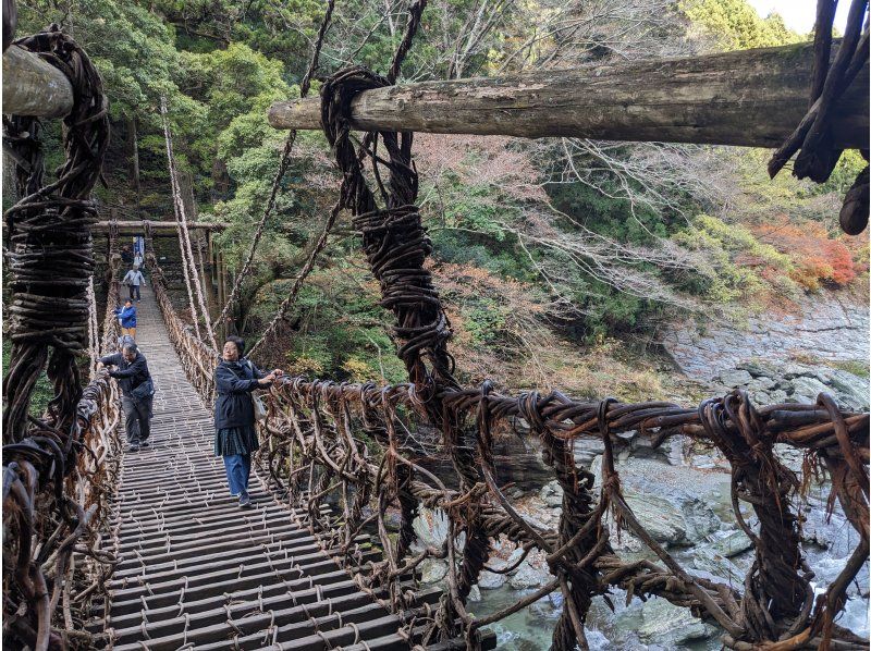 [Kagawa/Tokushima] Kotohira &hArr; Iya Valley/Oboke Shuttle Busの紹介画像
