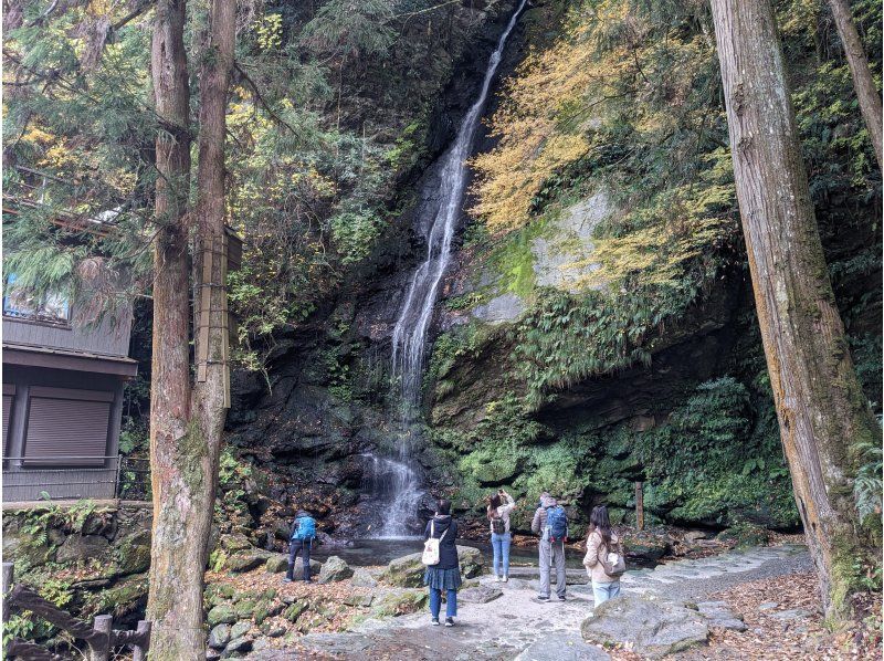 [Kagawa/Tokushima] Kotohira &hArr; Iya Valley/Oboke Shuttle Busの紹介画像