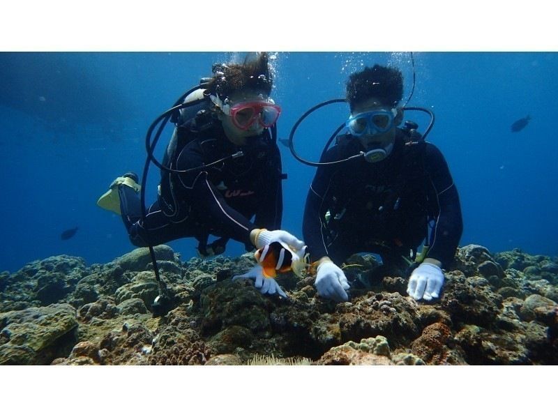 【沖縄・宮古島】ボート体験ダイビング（午後発1ダイブ）・宮古ブルーの海でダイビングを楽しもう！水中写真付！◆大型ダイビングボートで快適◆の紹介画像