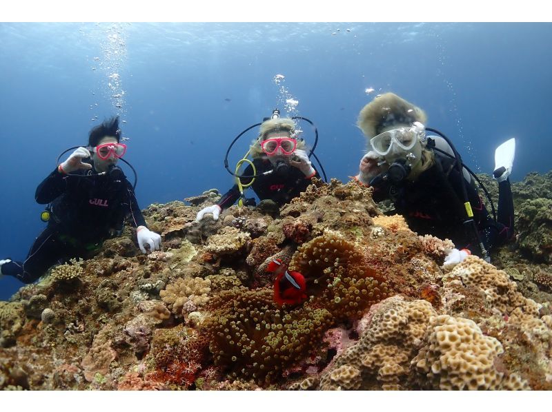 【沖縄・宮古島】ボート体験ダイビング（午後発1ダイブ）・宮古ブルーの海でダイビングを楽しもう！水中写真付！◆大型ダイビングボートで快適◆の紹介画像