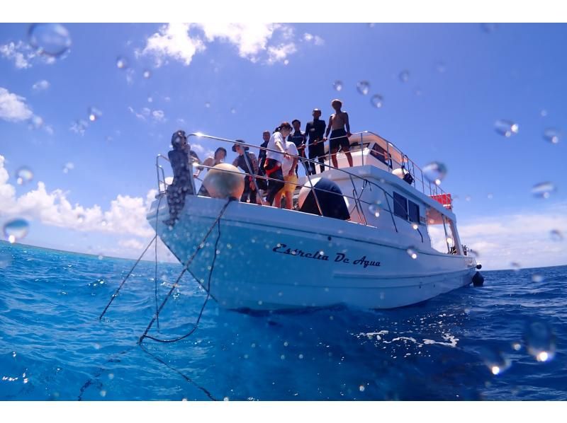 【沖縄・宮古島】ボート体験ダイビング（午後発1ダイブ）・宮古ブルーの海でダイビングを楽しもう！水中写真付！◆大型ダイビングボートで快適◆の紹介画像