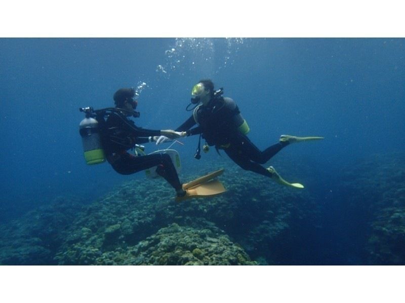 【沖縄・宮古島】ボート体験ダイビング（午後発1ダイブ）・宮古ブルーの海でダイビングを楽しもう！水中写真付！◆大型ダイビングボートで快適◆の紹介画像