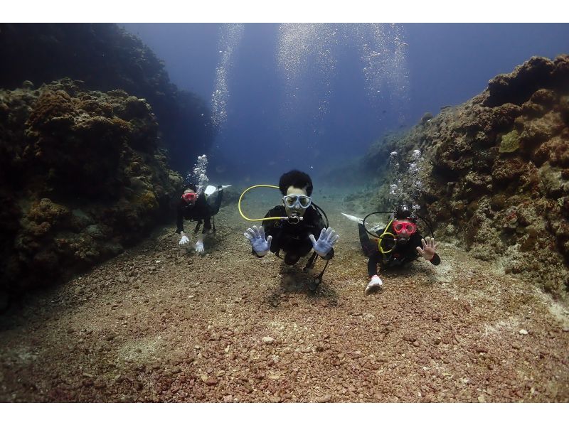 【沖縄・宮古島】ボート体験ダイビング（午後発1ダイブ）・宮古ブルーの海でダイビングを楽しもう！水中写真付！◆大型ダイビングボートで快適◆の紹介画像