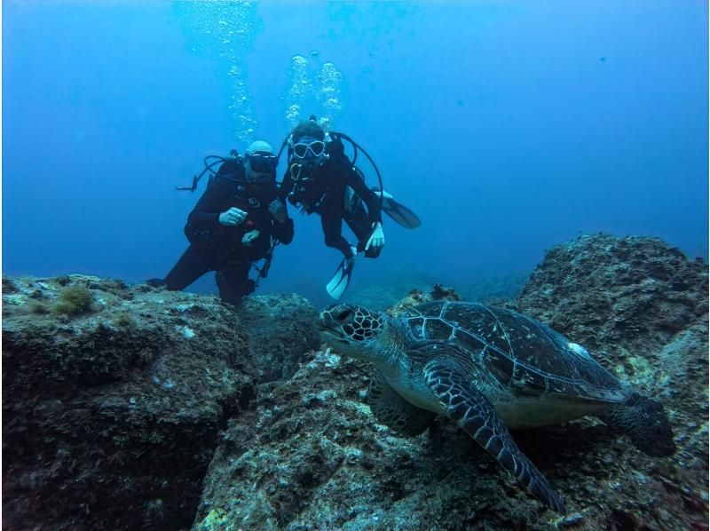【和歌山　串本　ファンダイビング】ドライスーツで快適に楽しむ2ボートファンダイビング　少人数制で安心のサポート体制！！　初心者大歓迎の紹介画像
