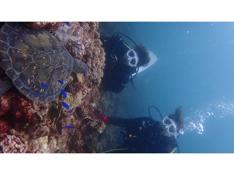 【和歌山　串本　ファンダイビング】ドライスーツで快適に楽しむ2ボートファンダイビング　少人数制で安心のサポート体制！！　初心者大歓迎の紹介画像