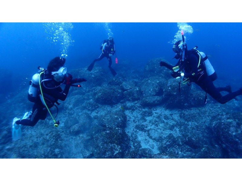 【和歌山　串本　ファンダイビング】初心者大歓迎　ドライスーツで快適に楽しむ2ボートファンダイビング　レンタル器材込　少人数制で安心のサポートの紹介画像