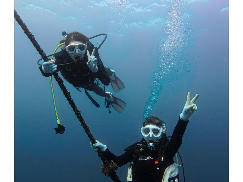 【和歌山・串本】 ドライスーツデビューをサポート　ドライスーツ講習付き1ビーチ＋1ボートダイビング　レンタル器材込で身軽にダイビングの紹介画像
