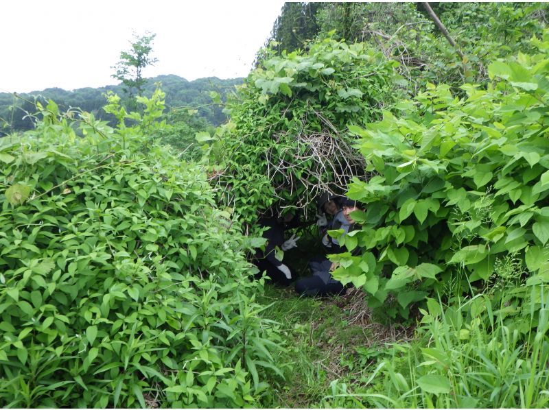 【石川・津幡】いのちかがやく里山づくり～挑戦1吉倉の山道の再生の紹介画像