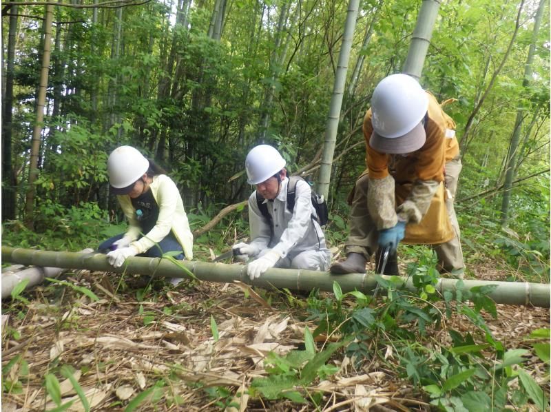 【石川・津幡】いのちかがやく里山づくり～挑戦1吉倉の山道の再生の紹介画像