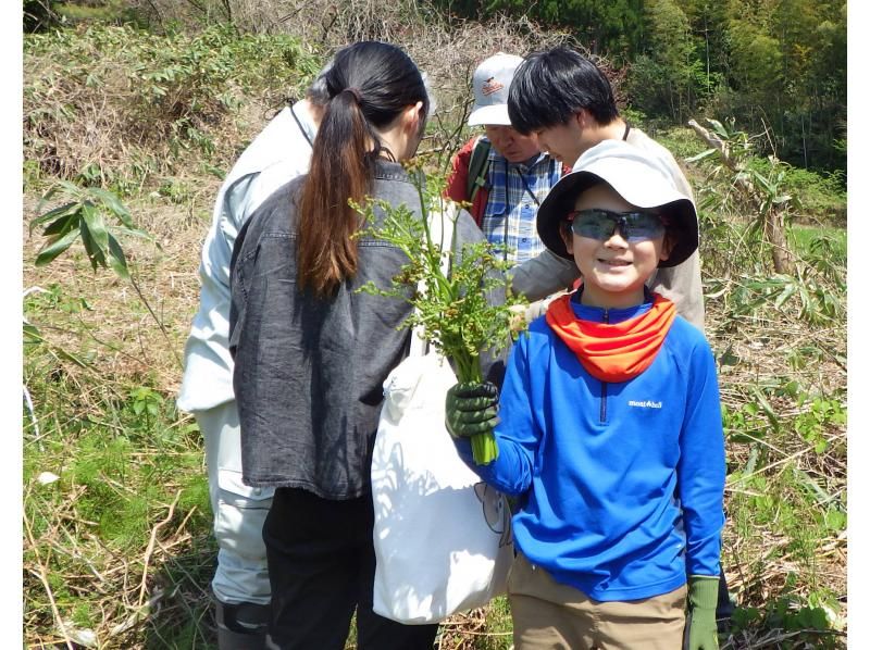 【石川・津幡】いのちかがやく里山づくり～挑戦1吉倉の山道の再生の紹介画像