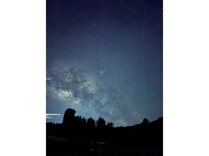 【石垣島・夜の川】手長エビハント＆命に感謝する星空ディナー体験の紹介画像