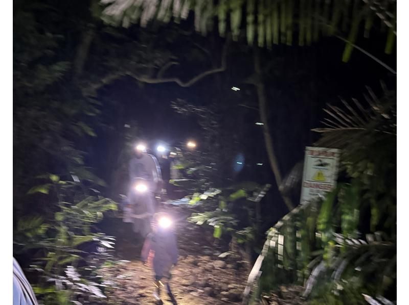 [石垣岛 - 夜河] 捕捉龙虾 & 感恩生命的星夜晚餐体验の紹介画像