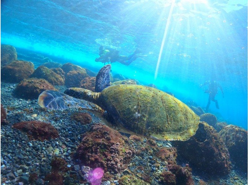 [Shizuoka, Yawatano] 5 minutes by car from Izukogen Station! Obtain a diving license and explore the oceans of the world with the BSAC Ocean Diver Courseの紹介画像