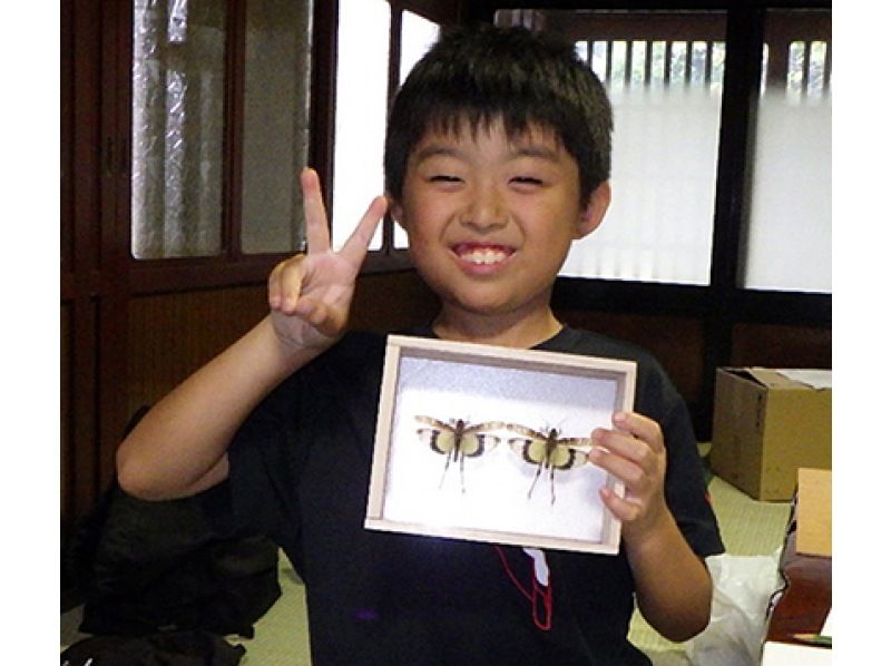【石川・津幡】夏休みの自由研究はこれで決まり！ 昆虫をあつめて、かっこいい標本をつくろう！の紹介画像