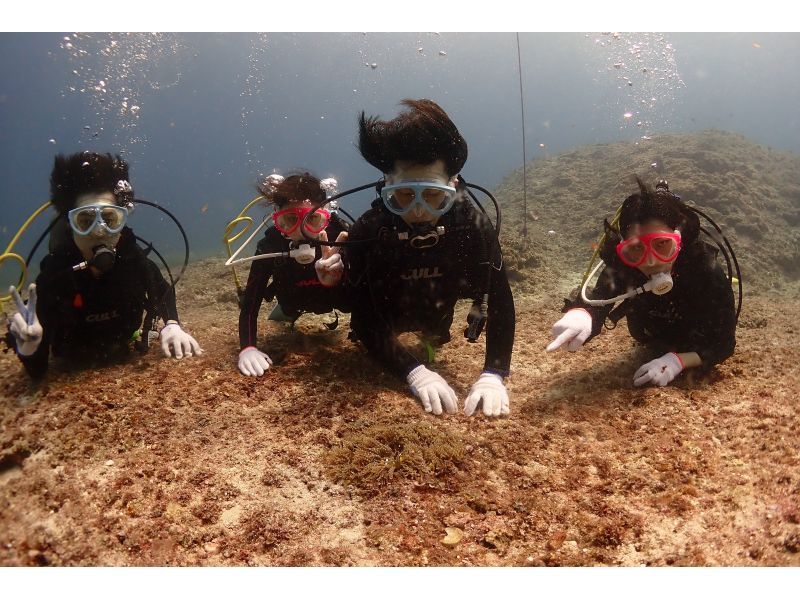 【沖縄・宮古島】ボート体験ダイビング◆午後発◆ゆっくり午後から２か所で体験ダイビング！水中写真付！大型ダイビングボートで快適の紹介画像