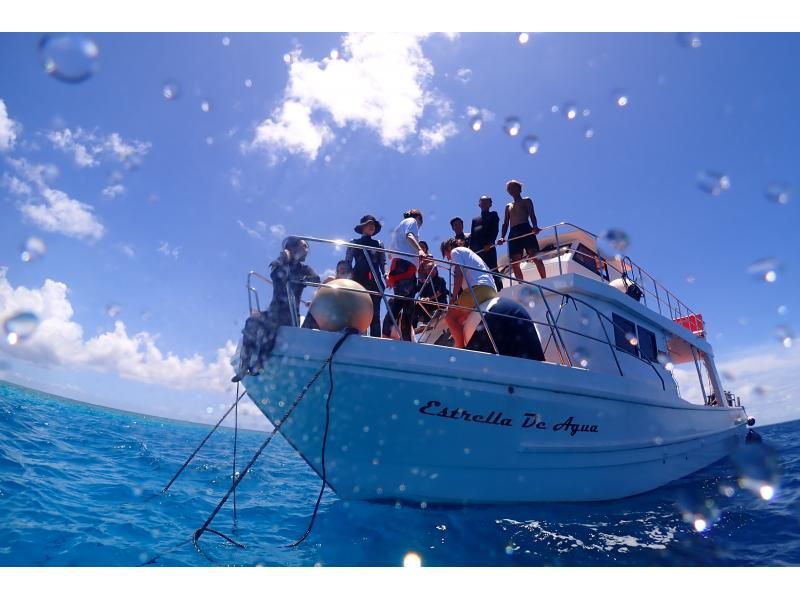 【沖縄・宮古島】午後発・ダイナミックな地形を楽しむ２ボートファンダイビング！　◆お一人参加・初心者も大歓迎・水中写真付・ライセンス必須◆の紹介画像