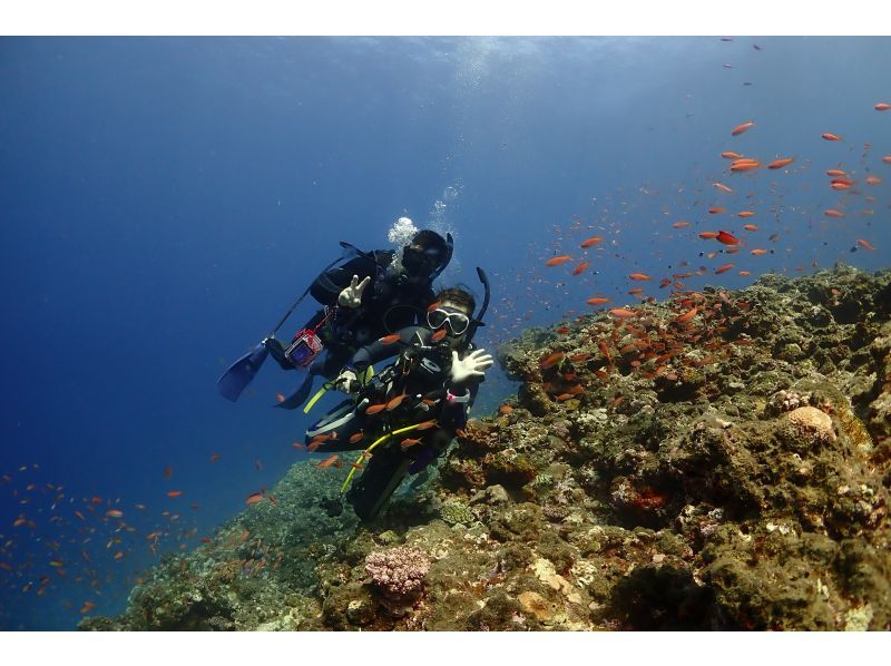 【沖縄・宮古島】午後発・ダイナミックな地形を楽しむ２ボートファンダイビング！　◆お一人参加・初心者も大歓迎・水中写真付・ライセンス必須◆の紹介画像