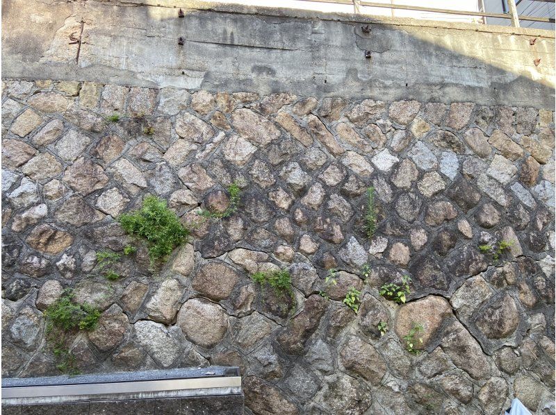 [Osaka Castle and Karahori Shopping Street] Sightseeing and Food Tour with Ceramic Art <6-hour course>の紹介画像