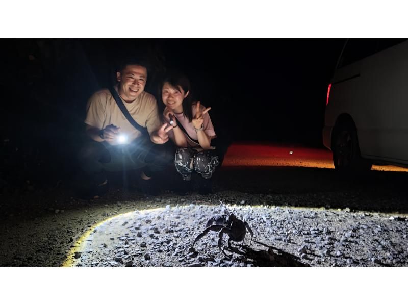 【沖縄県・西表島】　星空ナイトツアー（東部地区限定）の紹介画像
