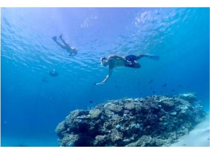 Private plan for beginners - Skin diving course [Free photo and video shooting ☆ Feeding experience included] Nago, Northern, Nakijin, Yanbaruの紹介画像