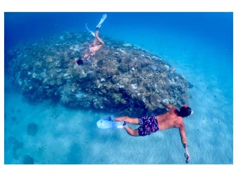 Private plan for beginners - Skin diving course [Free photo and video shooting ☆ Feeding experience included] Nago, Northern, Nakijin, Yanbaruの紹介画像