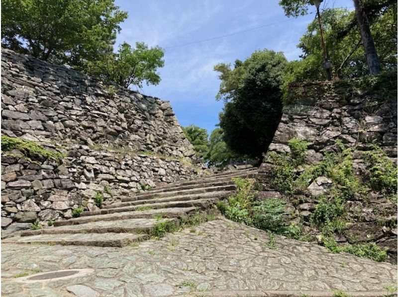 名城　和歌山城を巡る　ベテランガイドの解説を聞きながらたっぷり２時間　の紹介画像