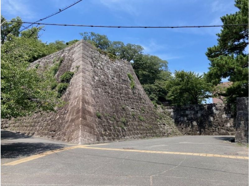 名城　和歌山城を巡る　ベテランガイドの解説を聞きながらたっぷり２時間　の紹介画像