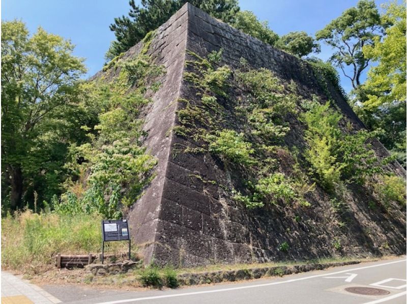 名城　和歌山城を巡る　ベテランガイドの解説を聞きながらたっぷり２時間　の紹介画像