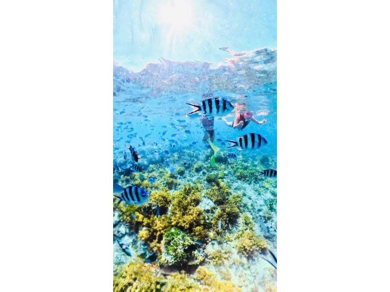 【沖縄・海中道路】完全プライベート！無人島沖シュノーケルツアー☆(5歳以下無料)の紹介画像